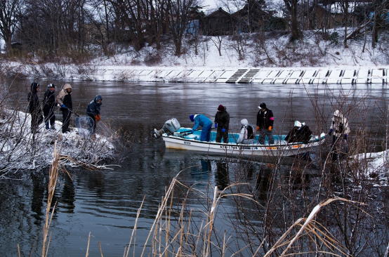 コイの追い込み漁